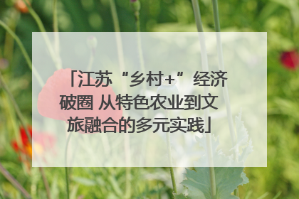 江苏“乡村+”经济破圈 从特色农业到文旅融合的多元实践